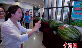 广德吃瓜最新事件爆料新闻,最新爆料揭露惊人内幕