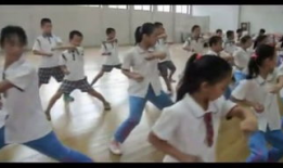 五步拳教学视频,轻松掌握传统武术精髓